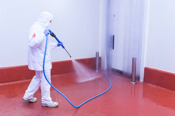 Best Soft Washing for Delicate Surfaces in Vista Center, NJ