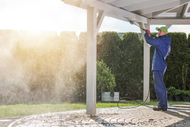 Best Roof Cleaning and Mildew Removal in Vista Center, NJ